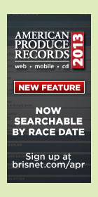 Brisnet