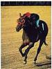 Buckpasser's Avatar